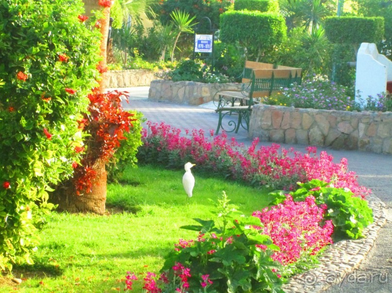 Сам себе развлечение