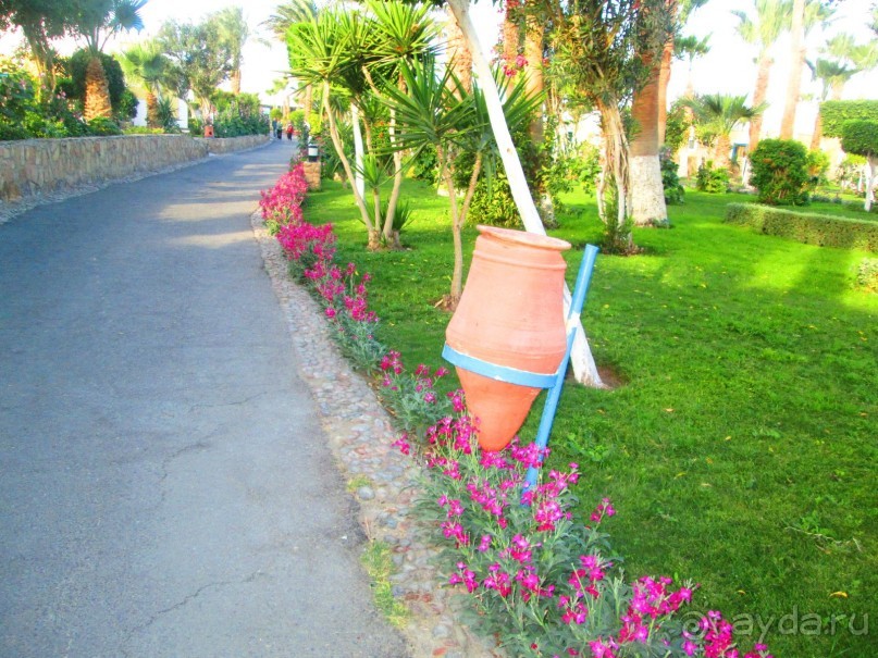 Сам себе развлечение