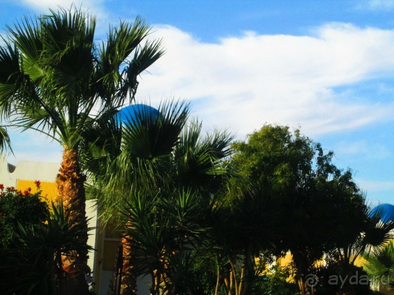 Сам себе развлечение