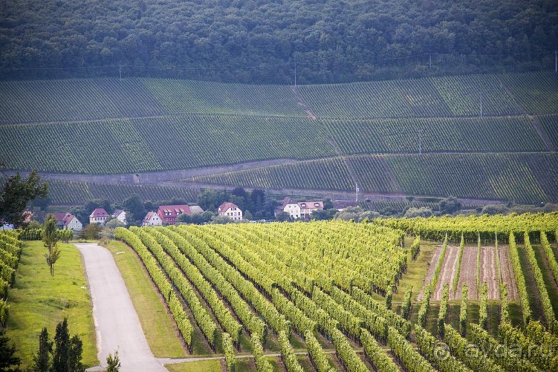 Альбом отзыва "Бавария и Австрия 2011. Хроника велопоездки"