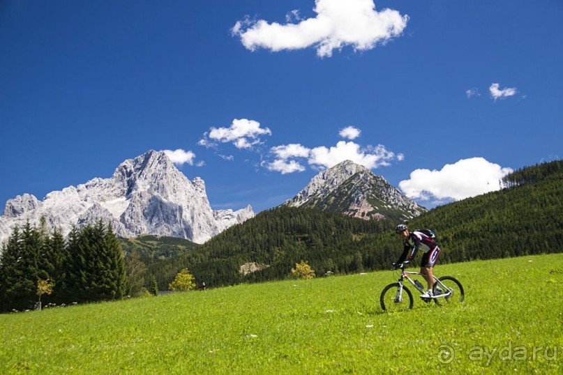 Альбом отзыва "Бавария и Австрия 2011. Хроника велопоездки"