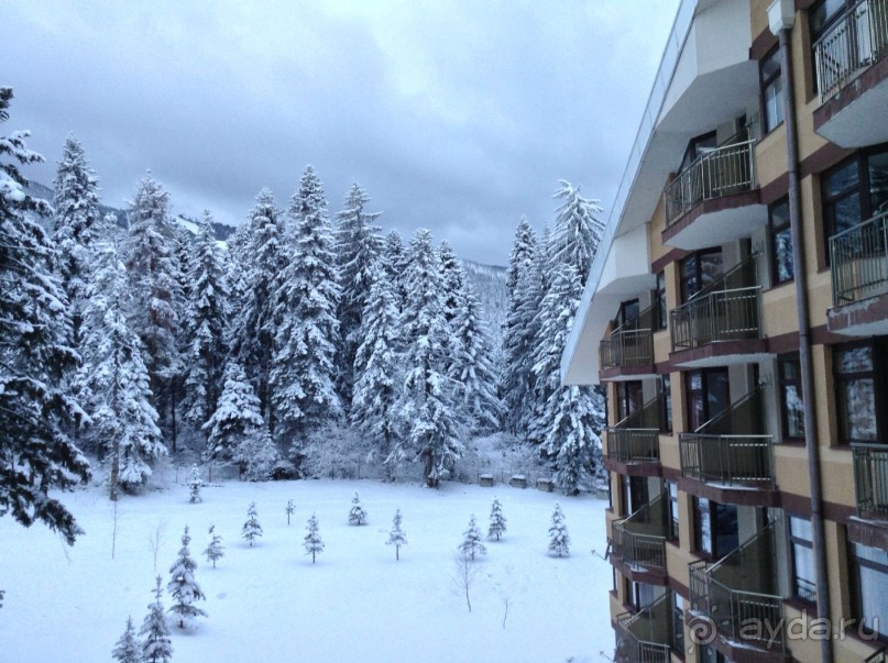 В Боровце без снега спас отель Флора