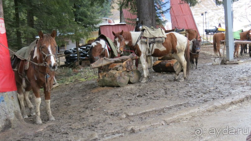 В Боровце без снега спас отель Флора