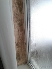 Даже если вам заплатят, не приезжайте туда!