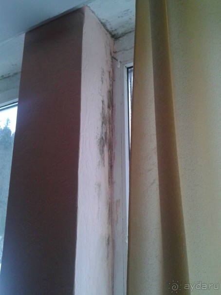 Даже если вам заплатят, не приезжайте туда!