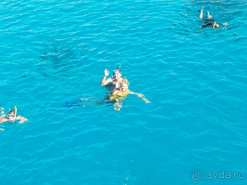 Не хотела уезжать...