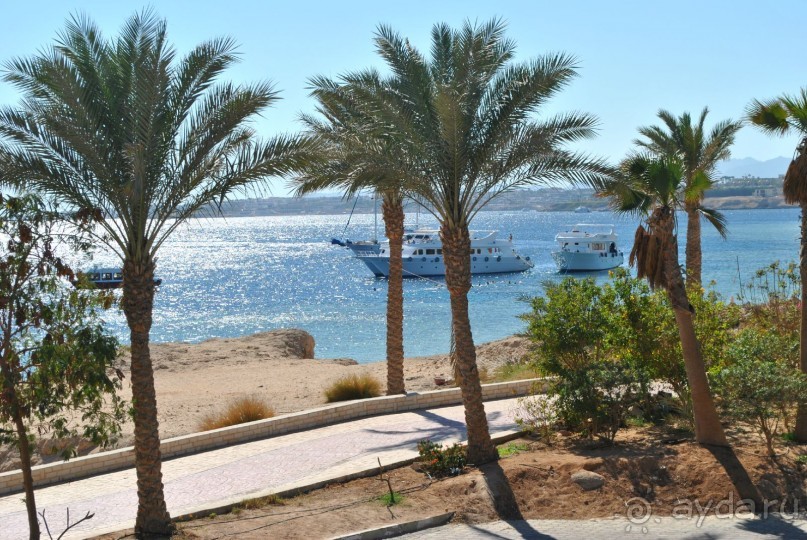 вид с балкона моего номера №5129