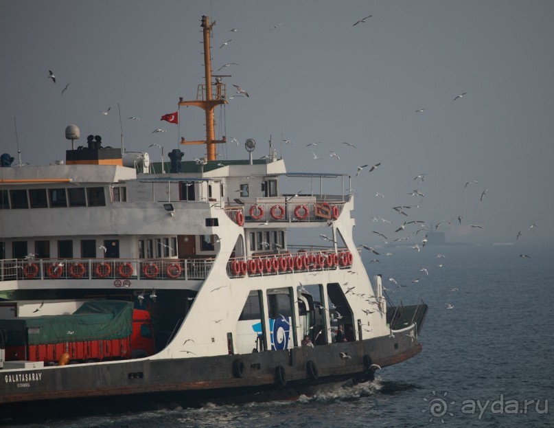 Горы (слалом бэби слалом)!!!!!!!!!  и Oтель просто супер тянет на 5*менеджмент европейский.