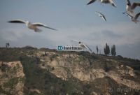 Горы (слалом бэби слалом)!!!!!!!!!  и Oтель просто супер тянет на 5*менеджмент европейский.