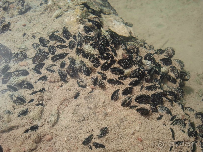 all well and even better!!!