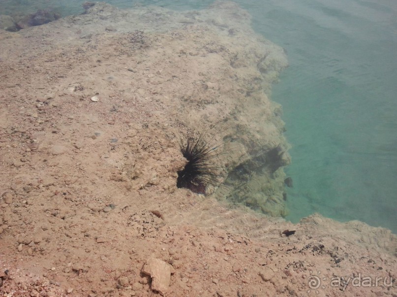 all well and even better!!!