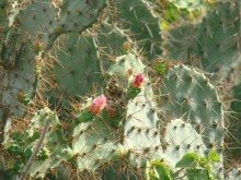 Вьетнамские впечатления