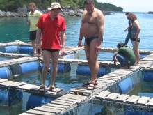 Вьетнамские впечатления