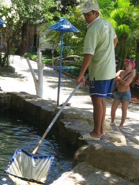 Вьетнамские впечатления