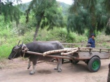 Вьетнамские впечатления
