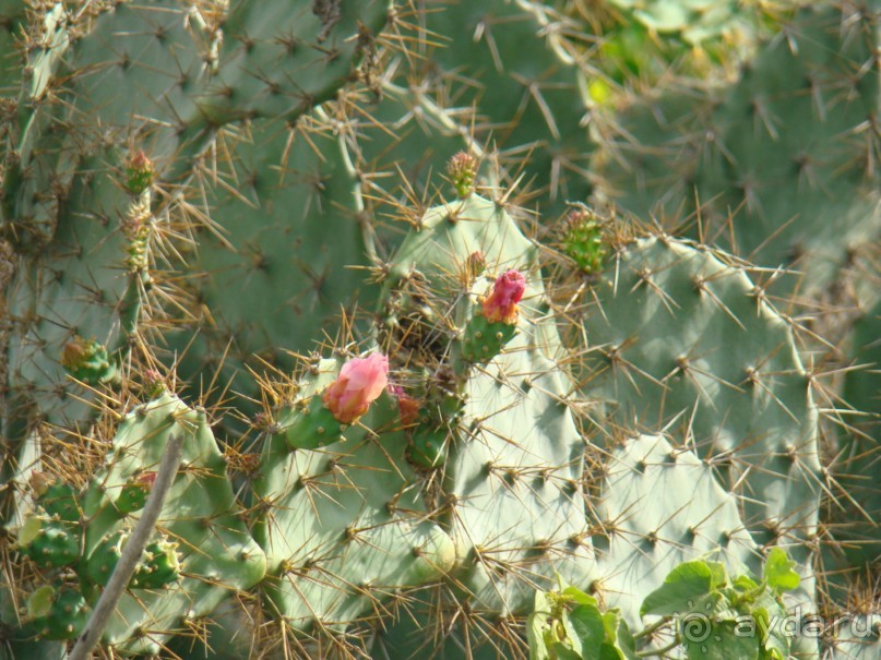 Вьетнамские впечатления