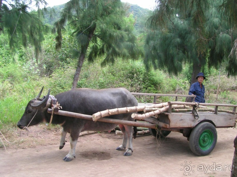 Вьетнамские впечатления