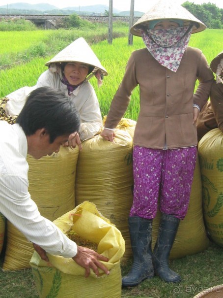 Вьетнамские впечатления