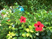 фото Holiday Park Resort