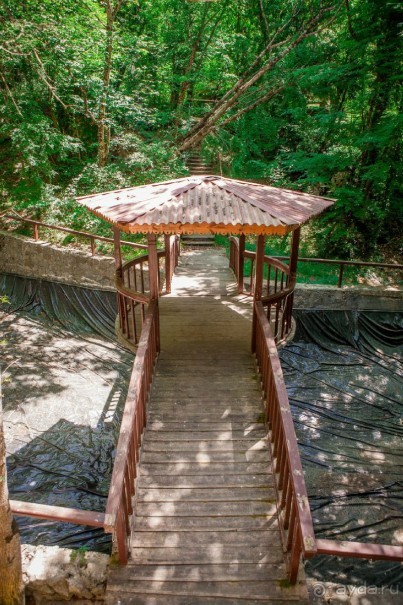 фото Поляна сказок