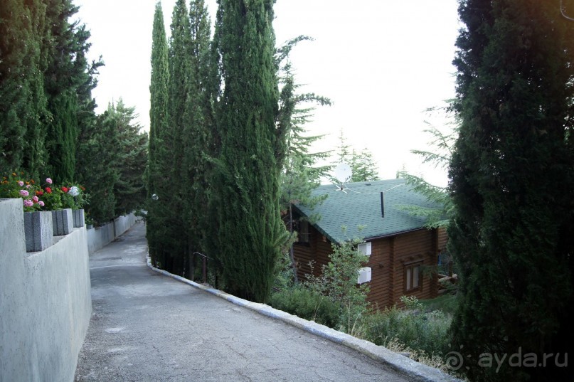 фото Береговой