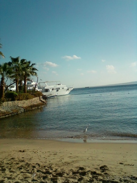 фото Seagull Beach Resort