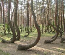 7 чудес света в необычных туристических локациях