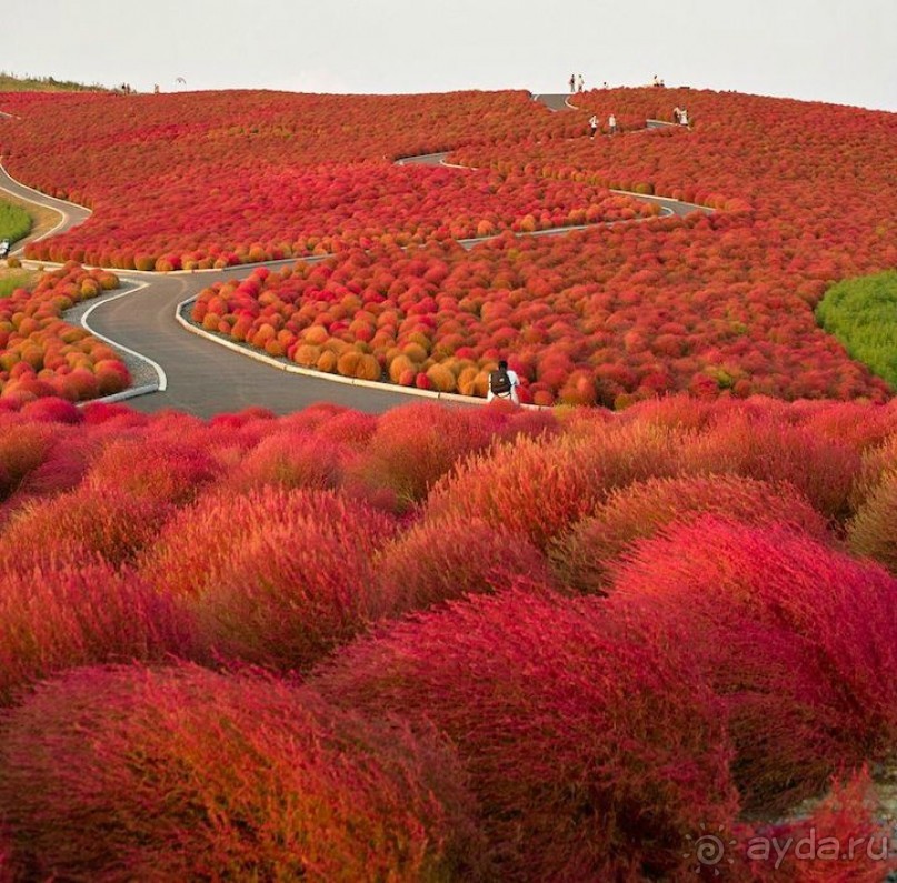 7 чудес света в необычных туристических локациях