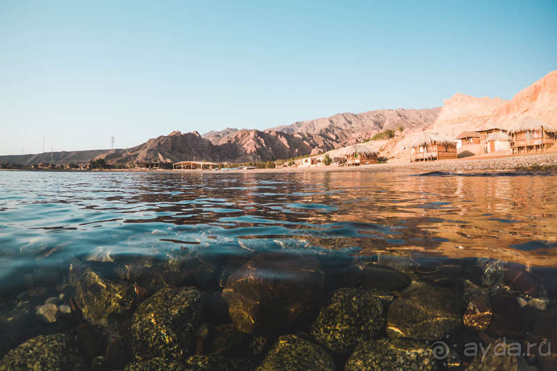 Почему путевки в Египет всегда актуальны?