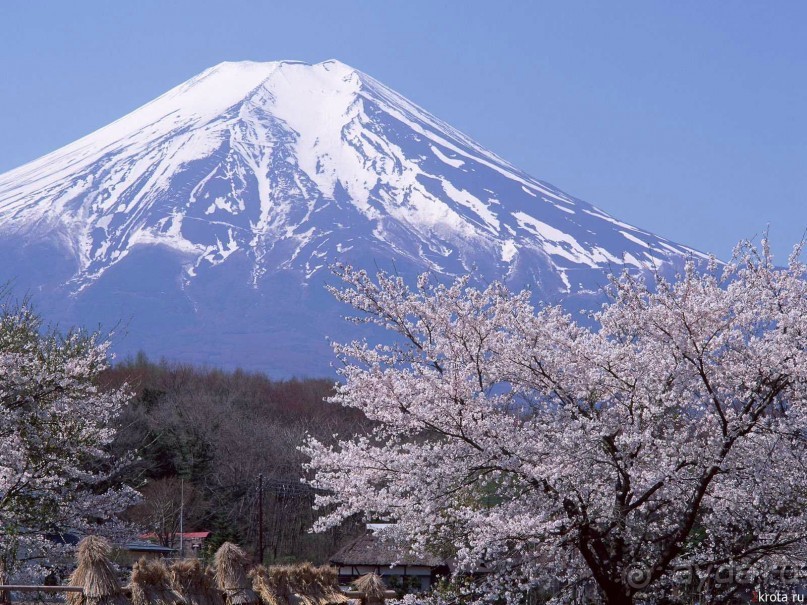 Гора Фудзи и озеро Аши