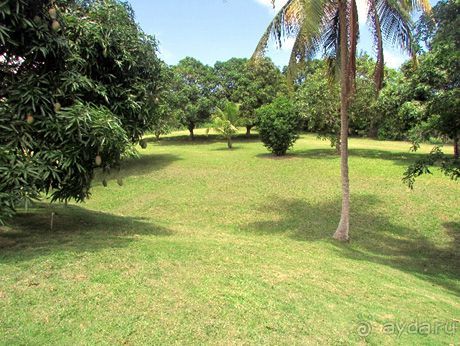 Лайфхаки для бюджетного отдыха на Карибских островах