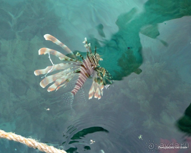 Достойный отель, хорошая 3