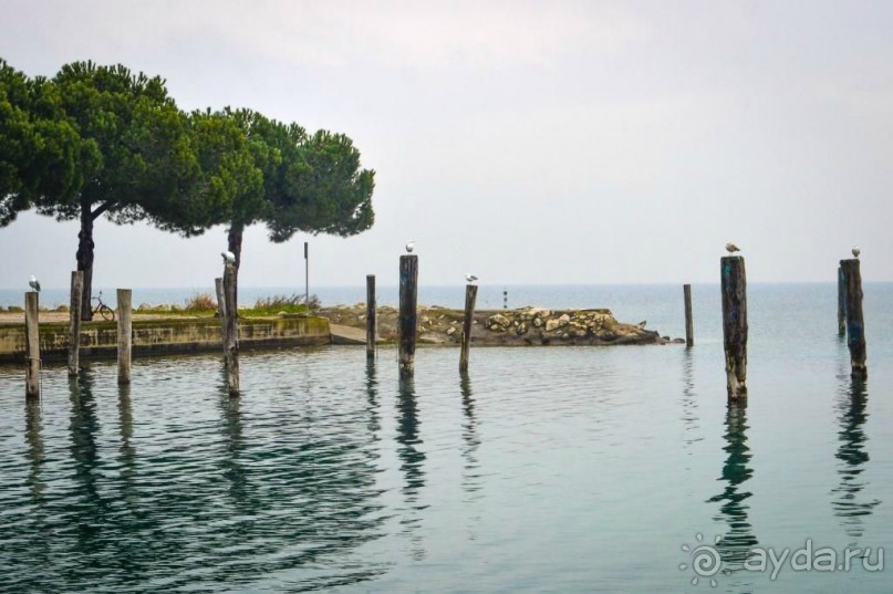 Не дорогой групповой шоппинг в Италии (зима/лето)