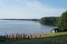 фото Лосвидо