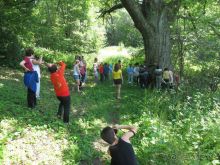 Замечательный лагерь)