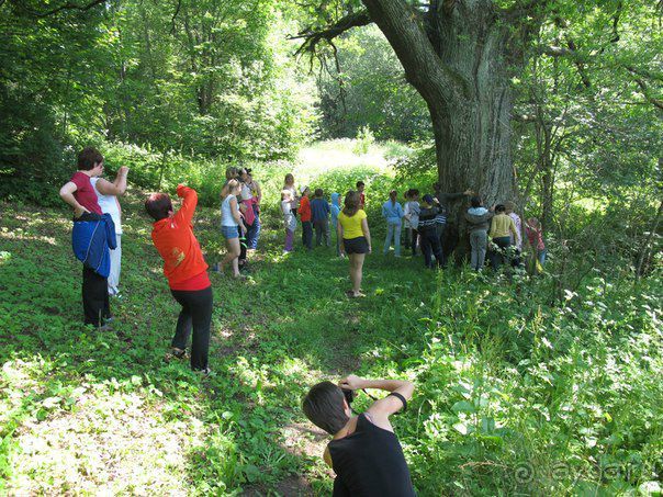 Замечательный лагерь)