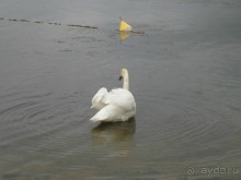 Я очень довольна лагерем)