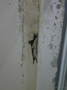 Я очень довольна лагерем)