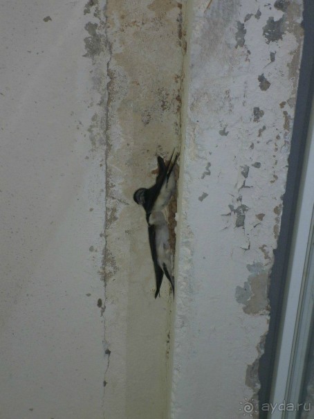 Я очень довольна лагерем)