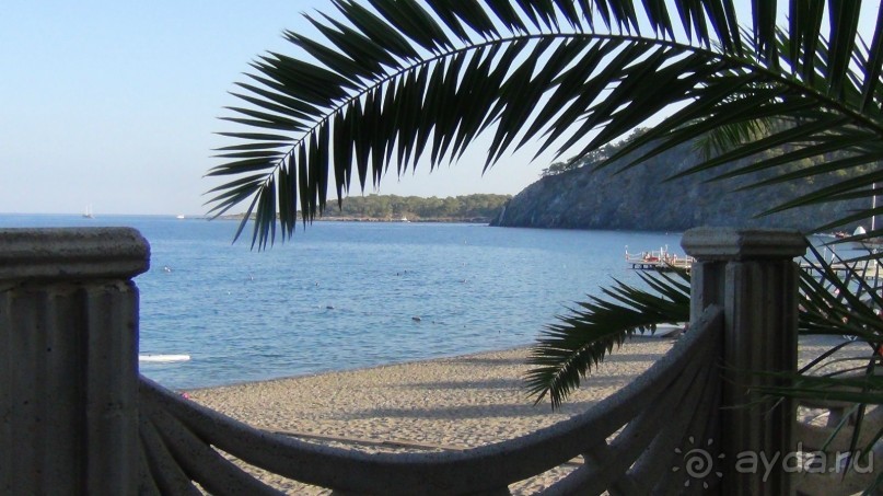 вид из бара