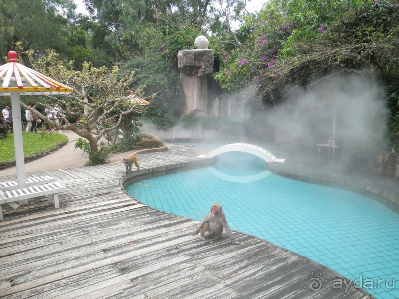 Отель великолепен!