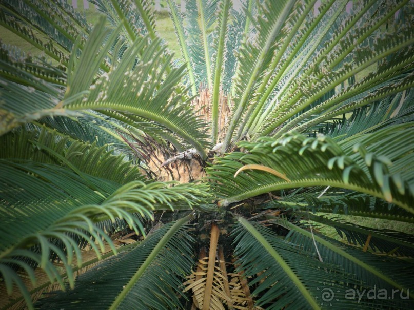 Отель великолепен!