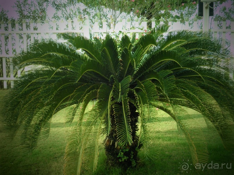 Отель великолепен!