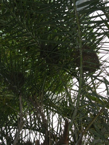 А мне понравилось!