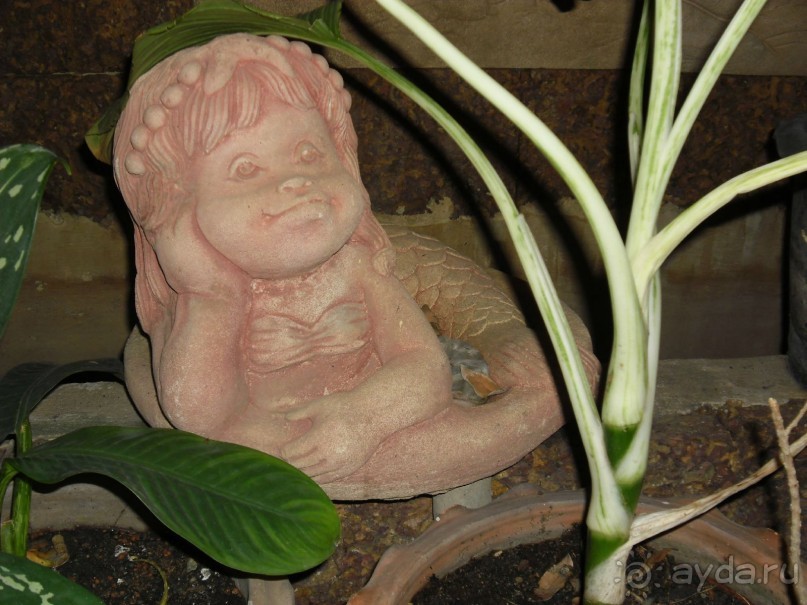 А мне понравилось!