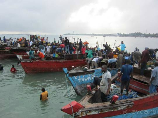 Альбом отзыва "ТАНЗАНИЯ. ЧЕРНОВИК БЕЛОГО ЧЕЛОВЕКА. Отзывы о поездке в Африку с турфимой Тайный Меридиан в 2011 году"