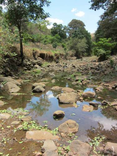 Альбом отзыва "ТАНЗАНИЯ. ЧЕРНОВИК БЕЛОГО ЧЕЛОВЕКА. Отзывы о поездке в Африку с турфимой Тайный Меридиан в 2011 году"