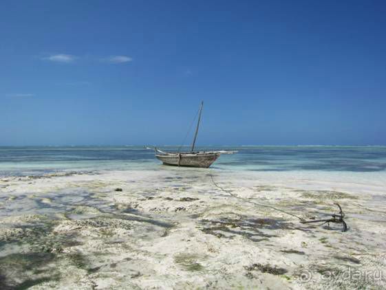 Альбом отзыва "ТАНЗАНИЯ. ЧЕРНОВИК БЕЛОГО ЧЕЛОВЕКА. Отзывы о поездке в Африку с турфимой Тайный Меридиан в 2011 году"