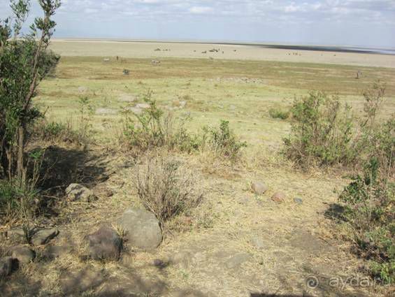 Альбом отзыва "ТАНЗАНИЯ. ЧЕРНОВИК БЕЛОГО ЧЕЛОВЕКА. Отзывы о поездке в Африку с турфимой Тайный Меридиан в 2011 году"