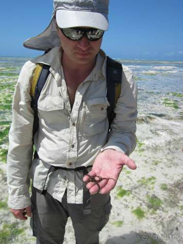 Альбом отзыва "ТАНЗАНИЯ. ЧЕРНОВИК БЕЛОГО ЧЕЛОВЕКА. Отзывы о поездке в Африку с турфимой Тайный Меридиан в 2011 году"